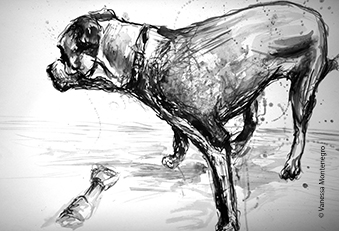 Dog Ink Drawing