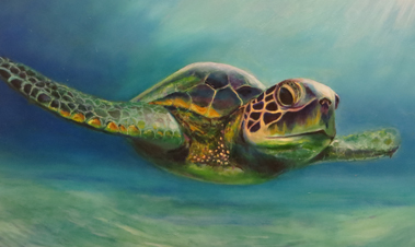 Adult Painting Class: Acrylic Painting. Turtle